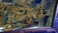 Wrackteile im Aquarium.